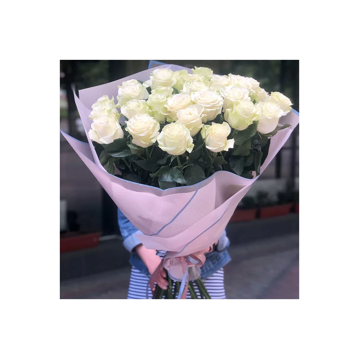 25 Premium White Roses 80-90cm