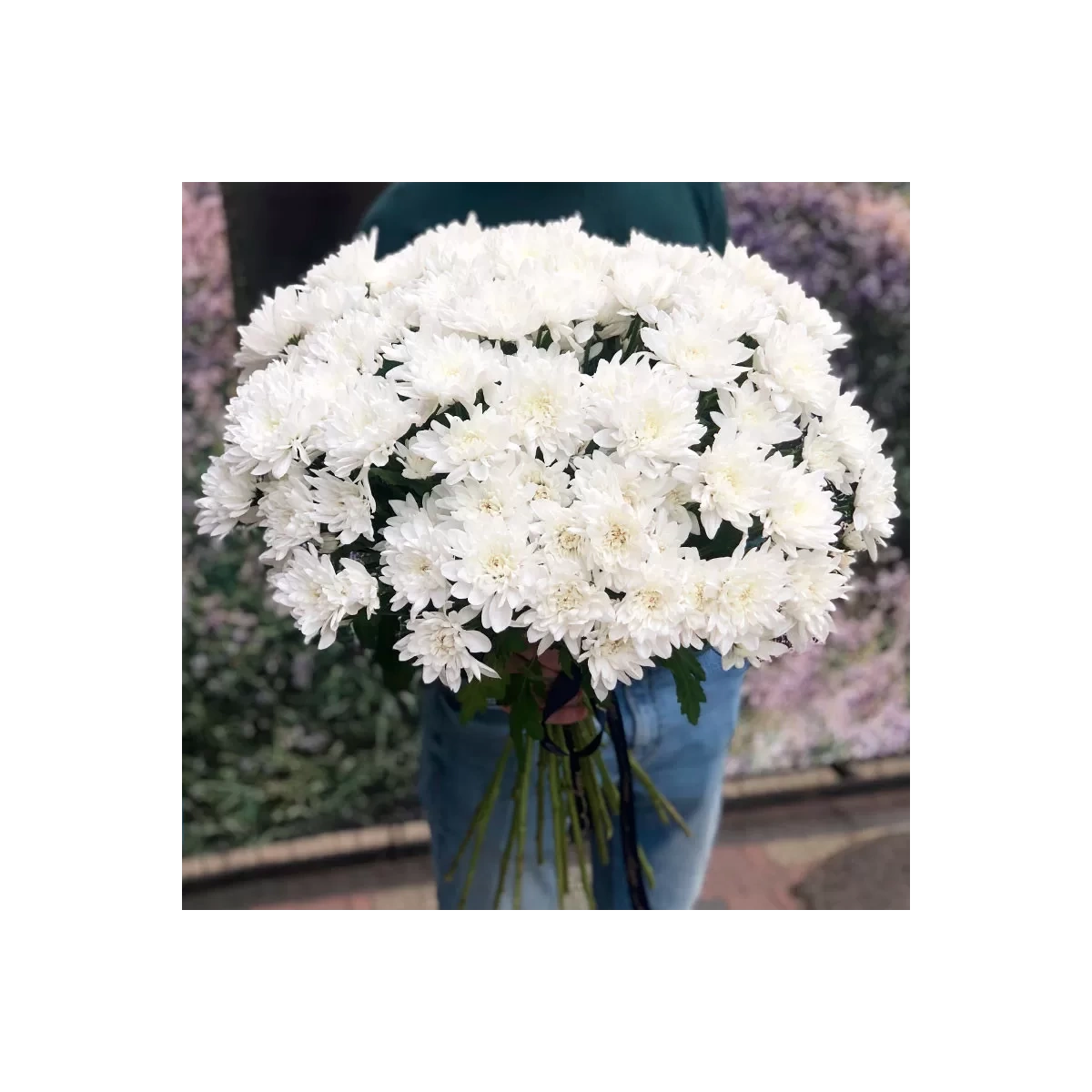 Buy white chrysanthemums with delivery Chisinau, Moldova