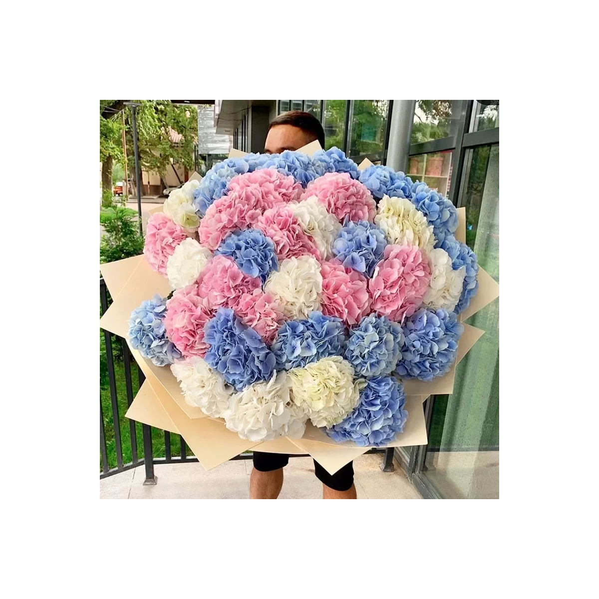 Bouquet of Colorful Hydrangeas