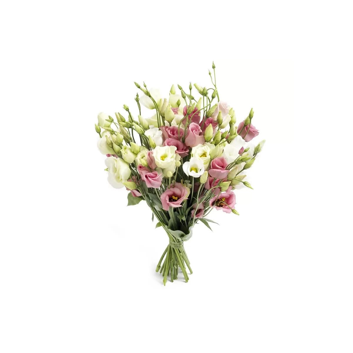 Buy big delicate bouquet with delivery Chisinau, Moldova