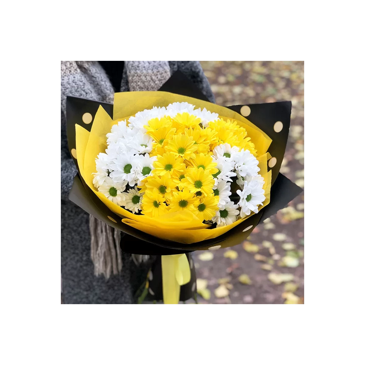 Yellow and white chrysanthemums photo