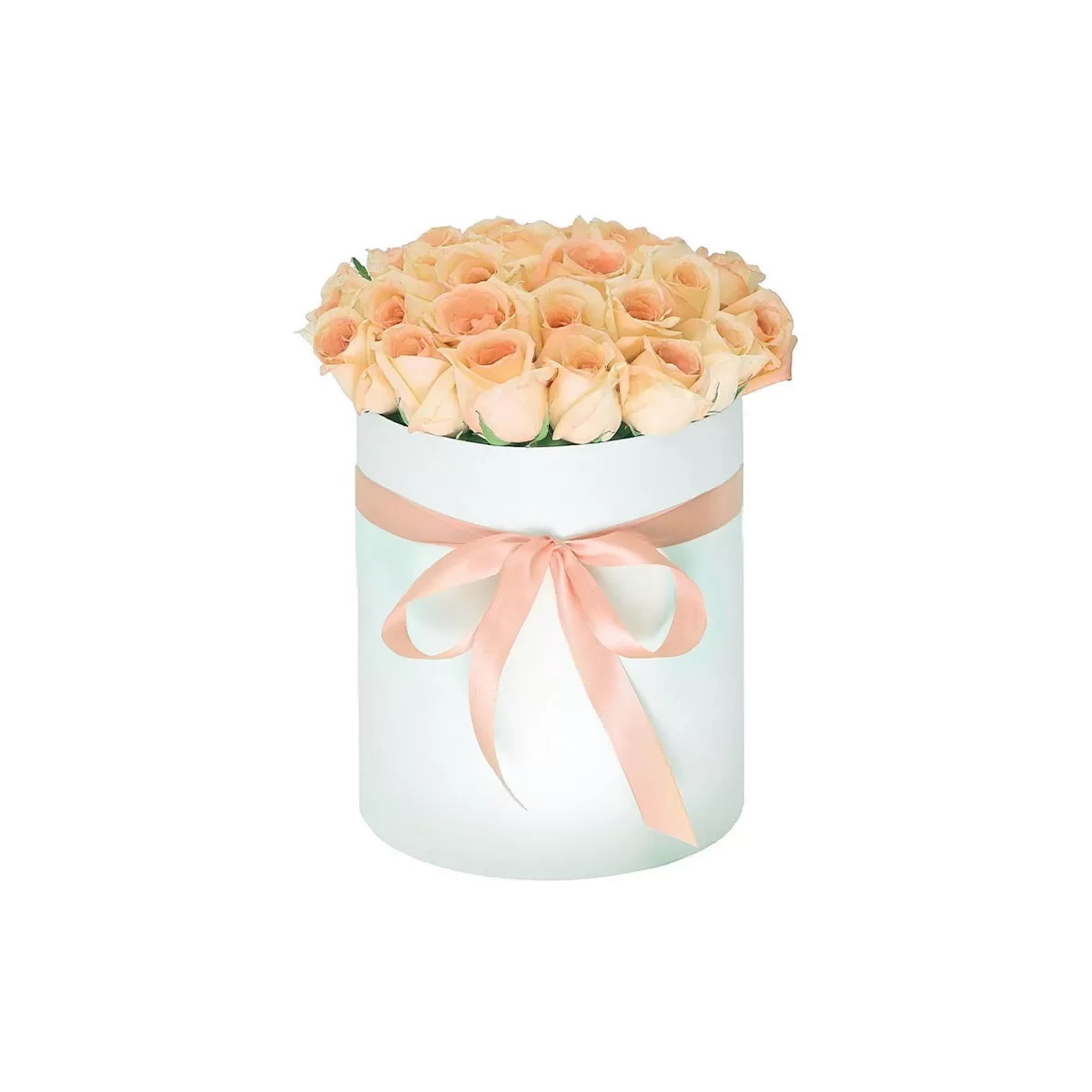 Buy 25 cream roses in the box with delivery Chisinau, Moldova