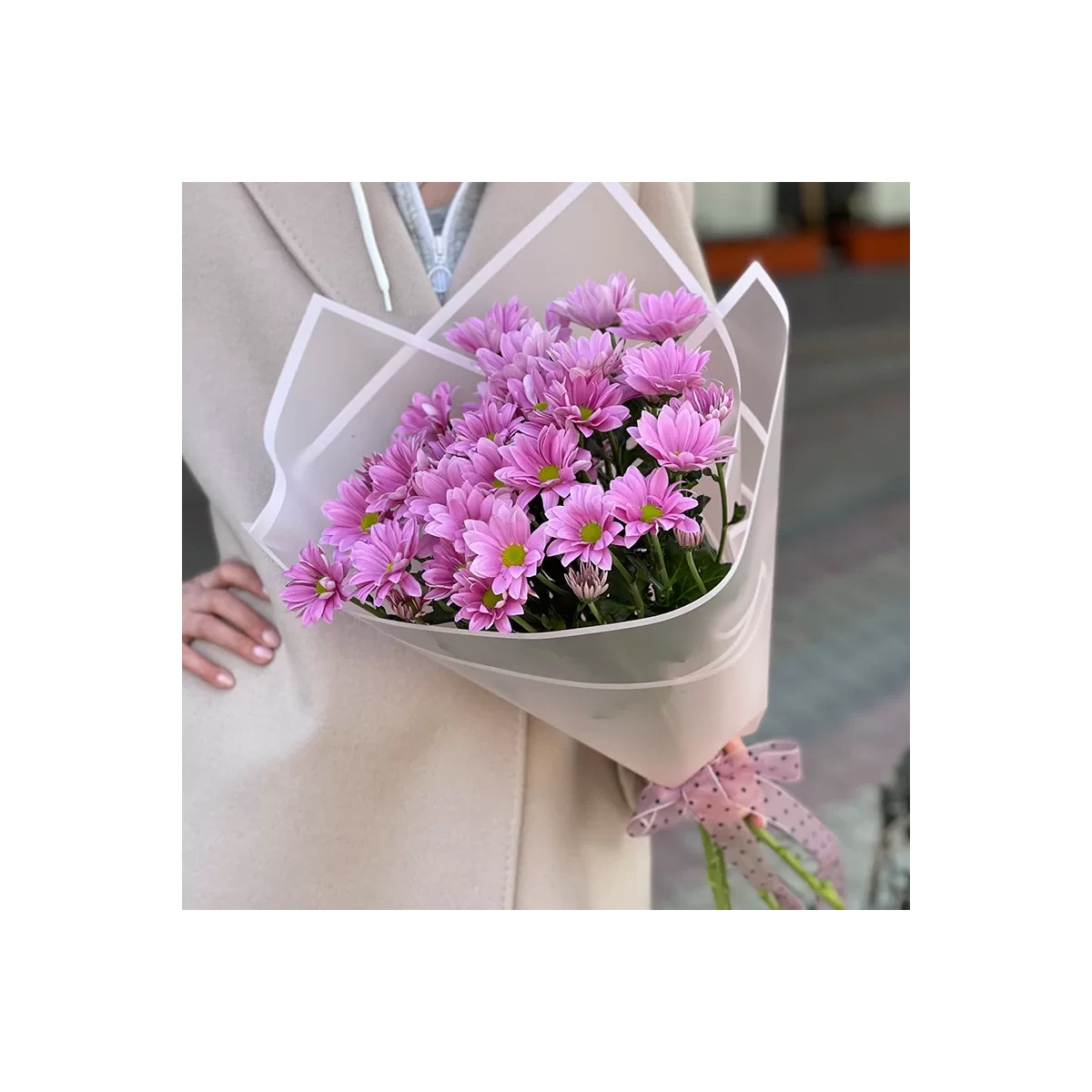 Pink Chrysanthemums