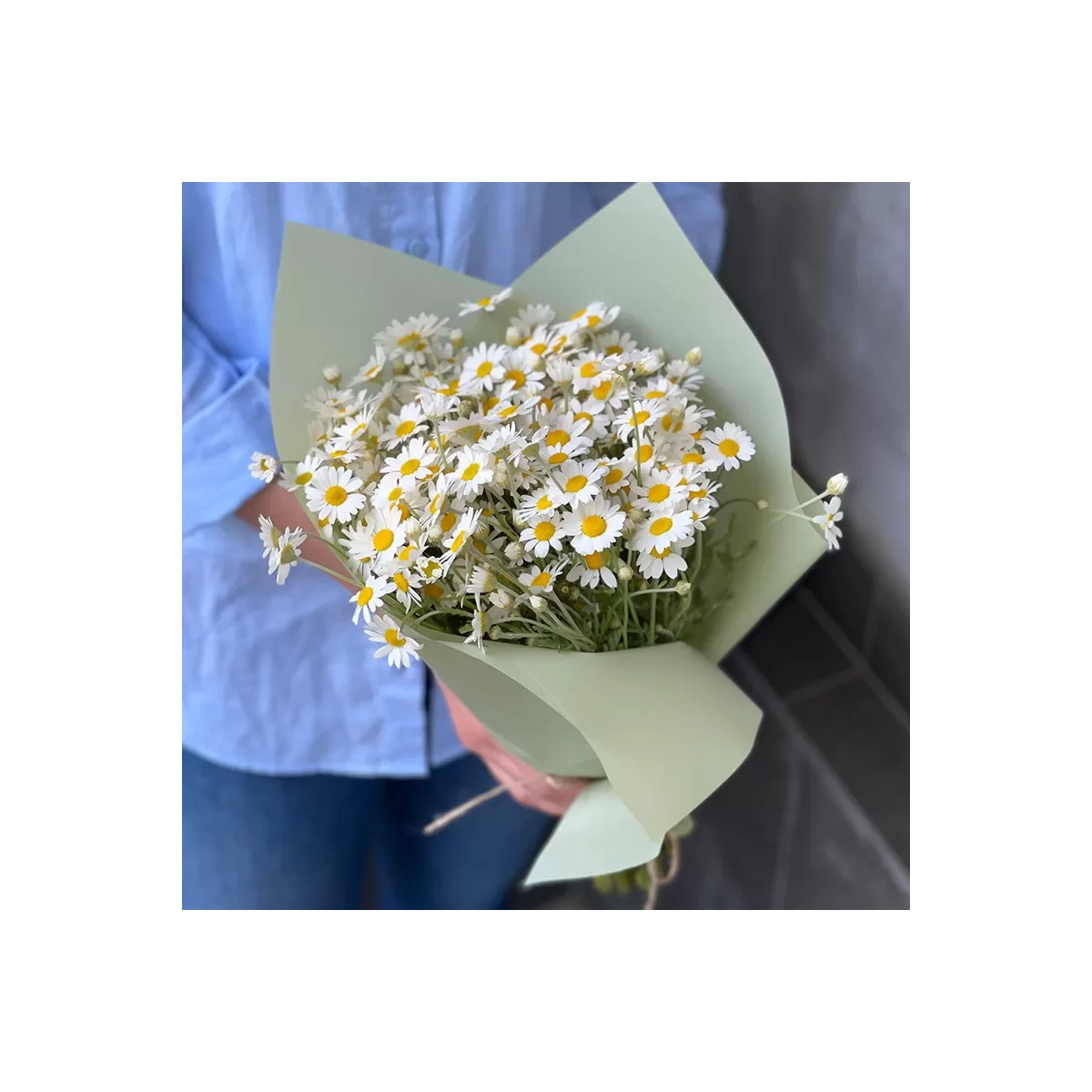 Buy bouquet of daisies with delivery Chisinau, Moldova