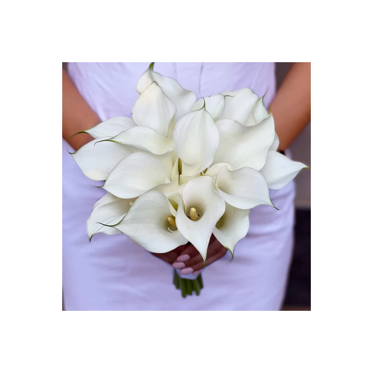 Buchet de mireasă din calla alba Chișinău, Moldova | Salon floristic - Cadouri MD