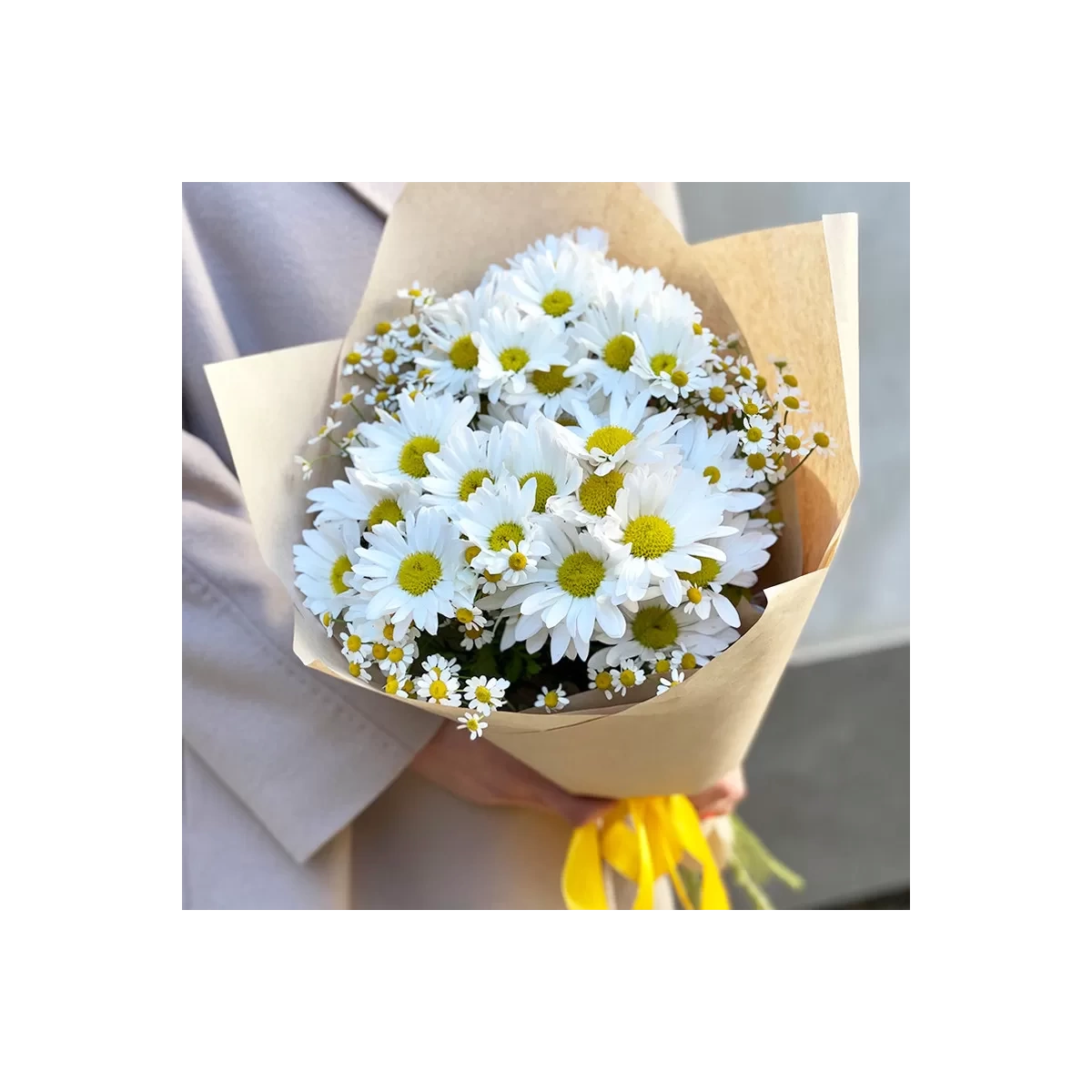 Buy bouquet chamomile chrysanthemum with delivery Chisinau, Moldova