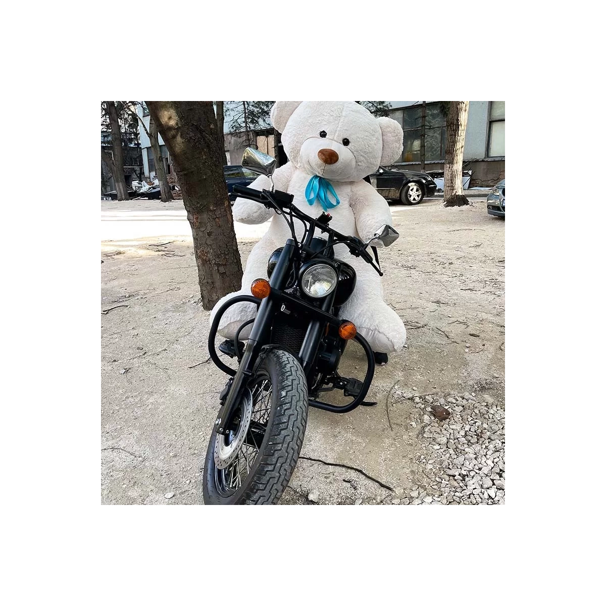 Buy big white bear with delivery Chisinau, Moldova