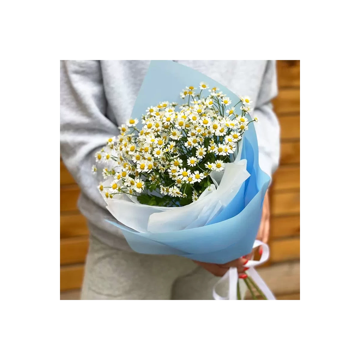 Buy bouquet of daisies with delivery Chisinau, Moldova