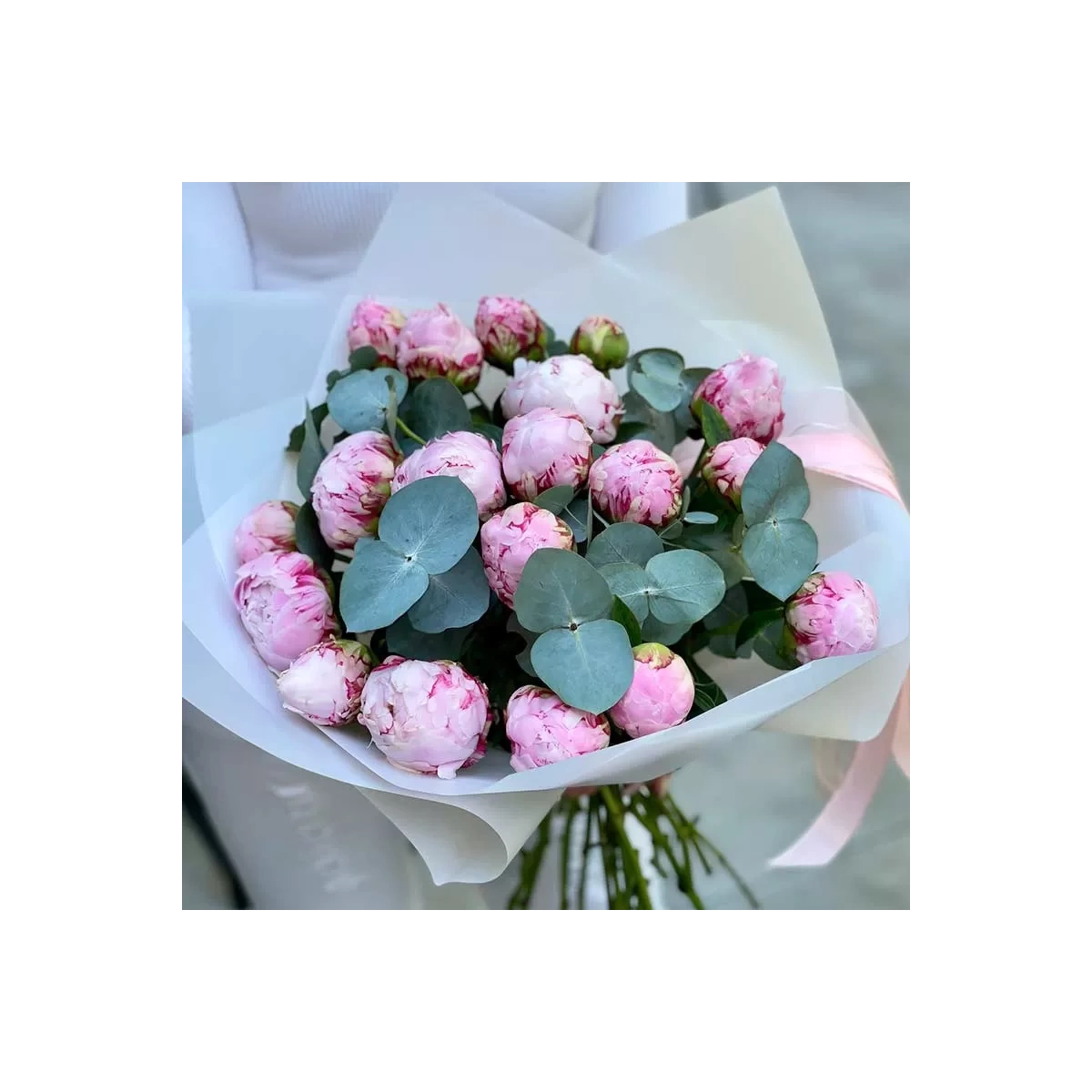 17 Bujori Roz Olandezi