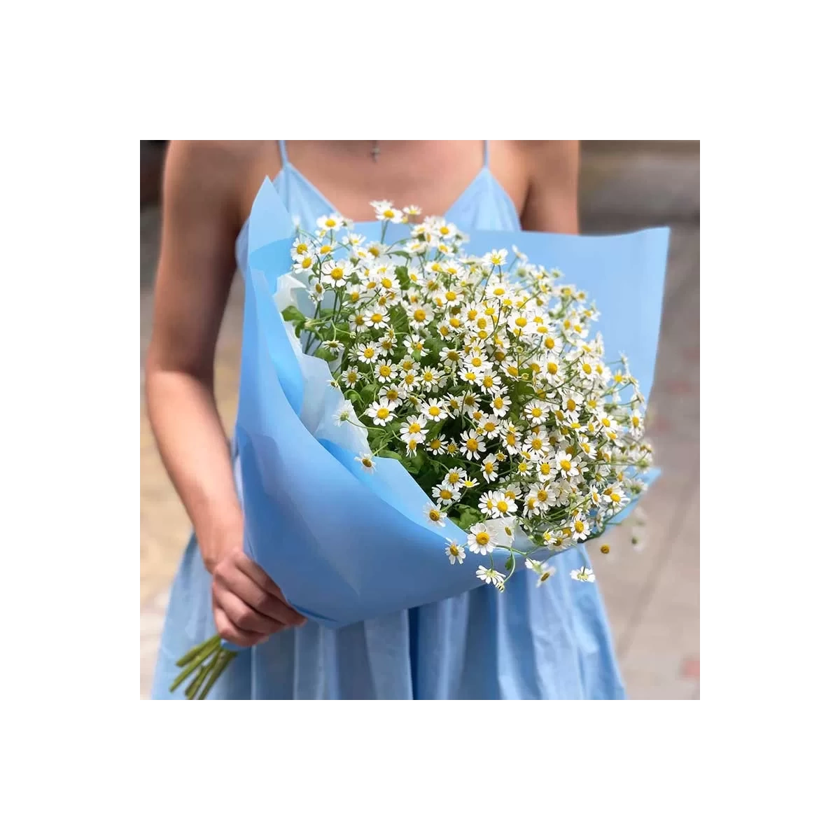 Buy bouquet of daisies with delivery Chisinau, Moldova