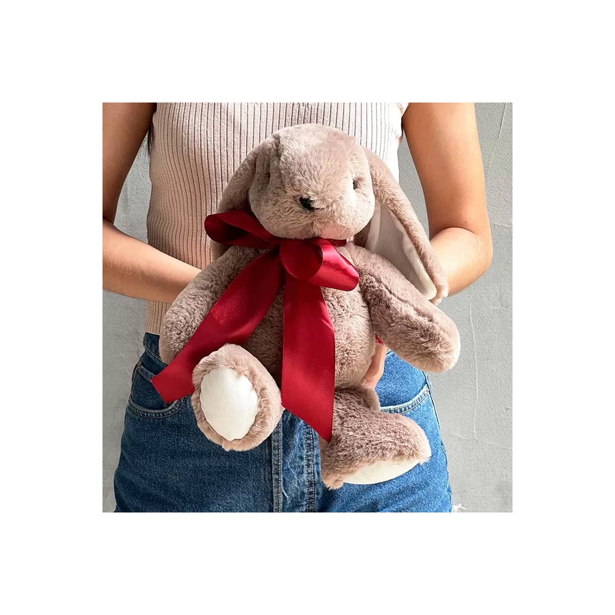 Lop-eared Rabbit - Brown