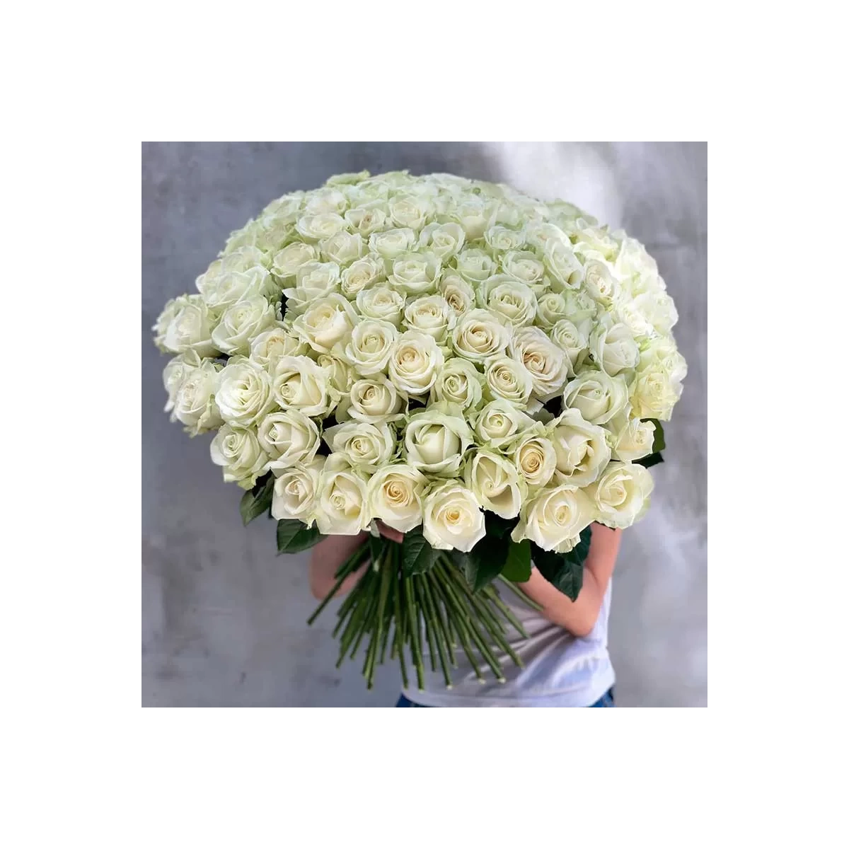 Buy 101 white roses 60 cm with delivery Chisinau, Moldova - Cadouri.md