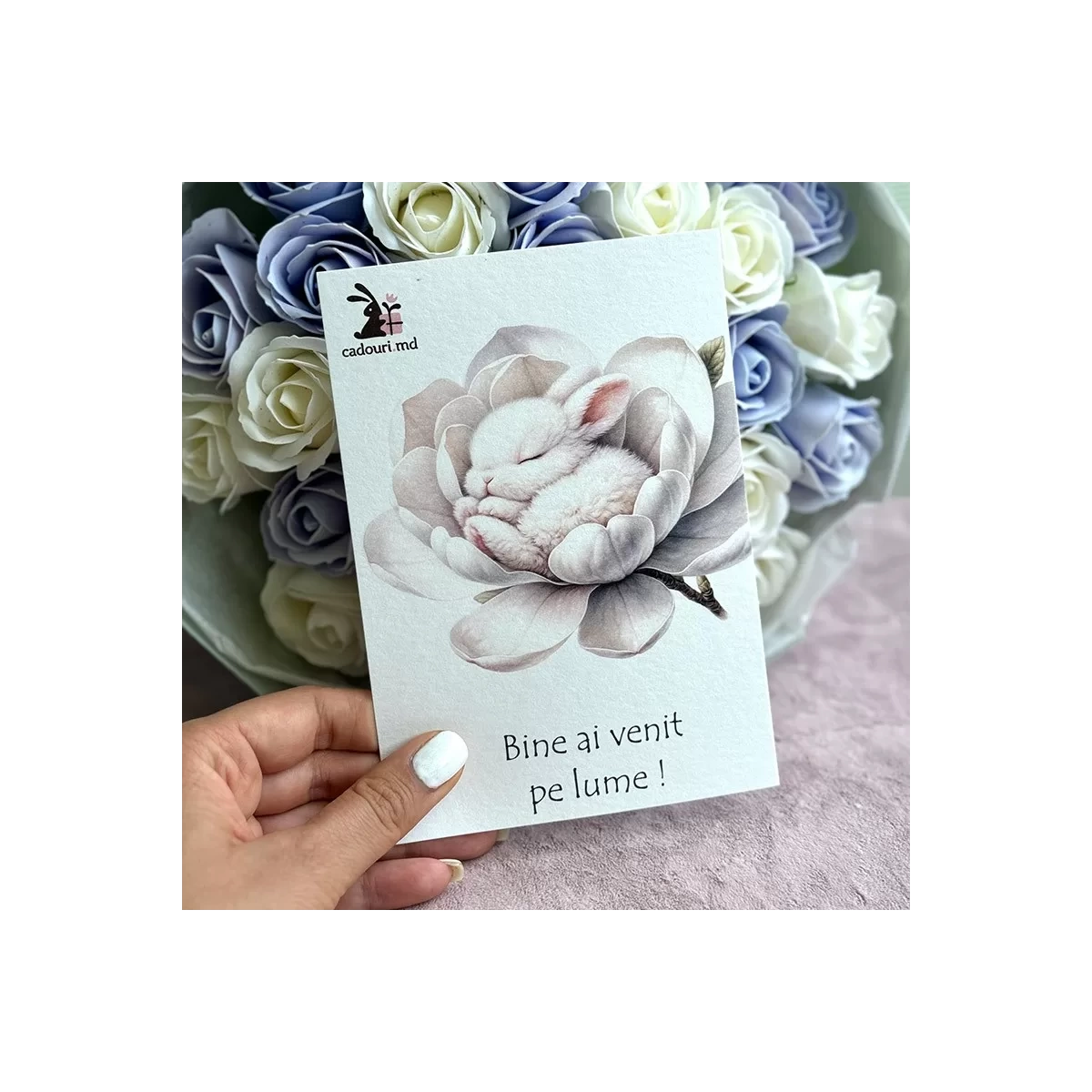 Postcard "Newborn Bunny"