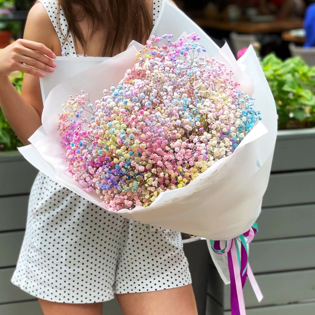 Rainbow Gypsophilla