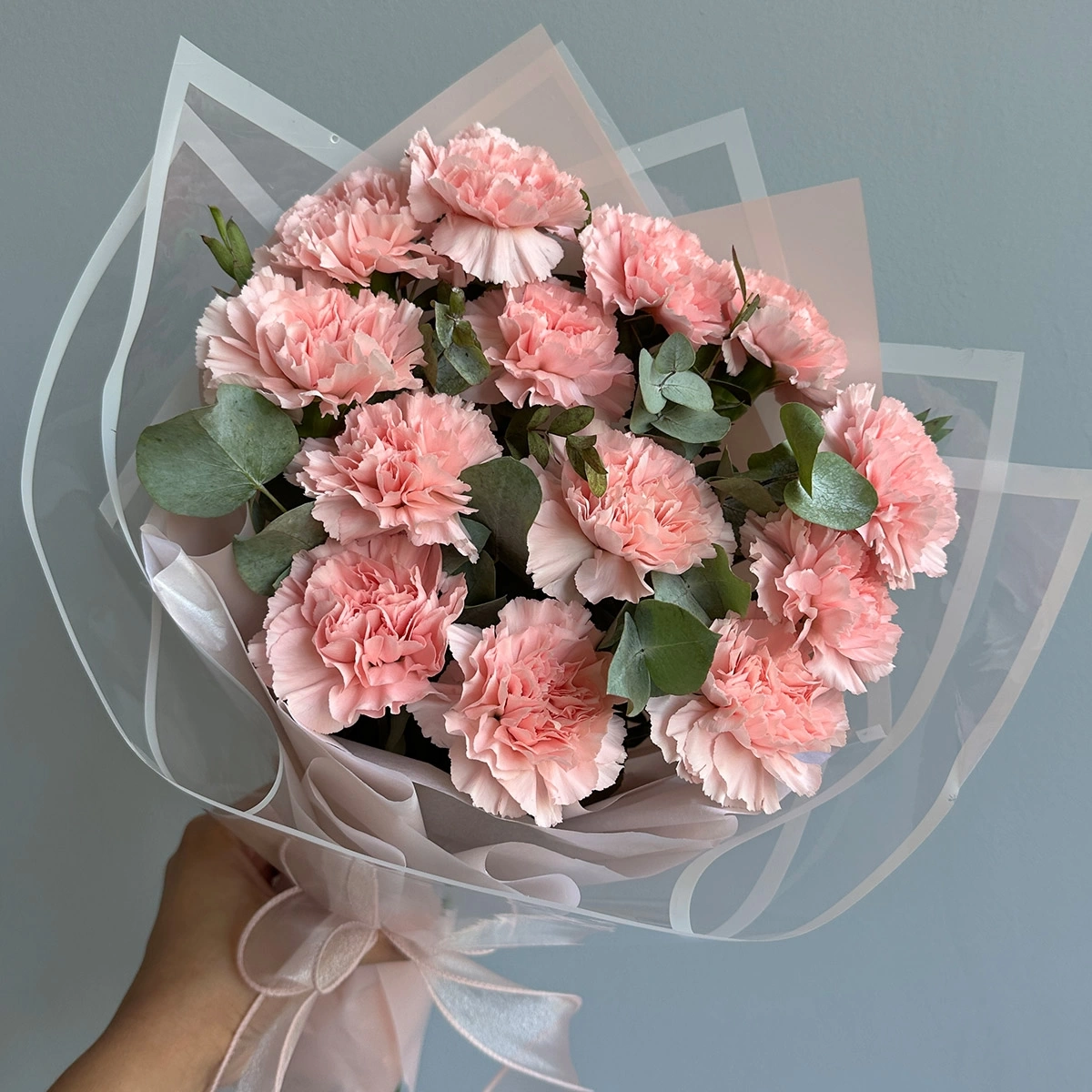 Bouquet of Pink Carnations