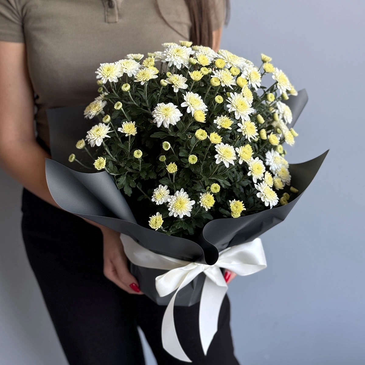 White Chrysanthemums in a Pot