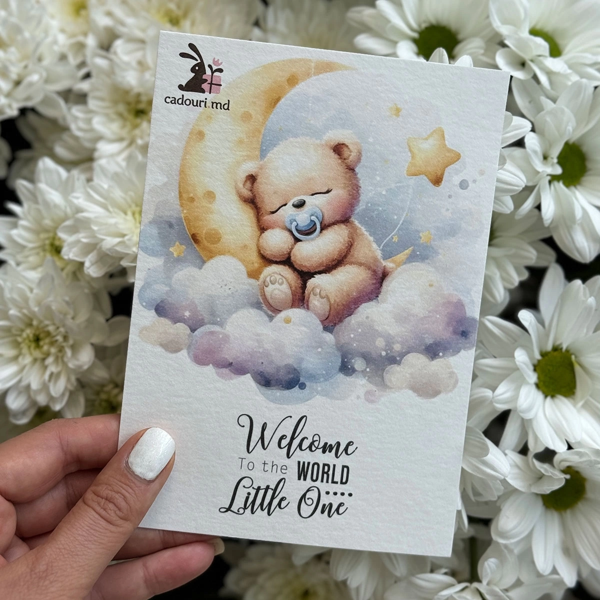 Newborn Card with Teddy Bear photo