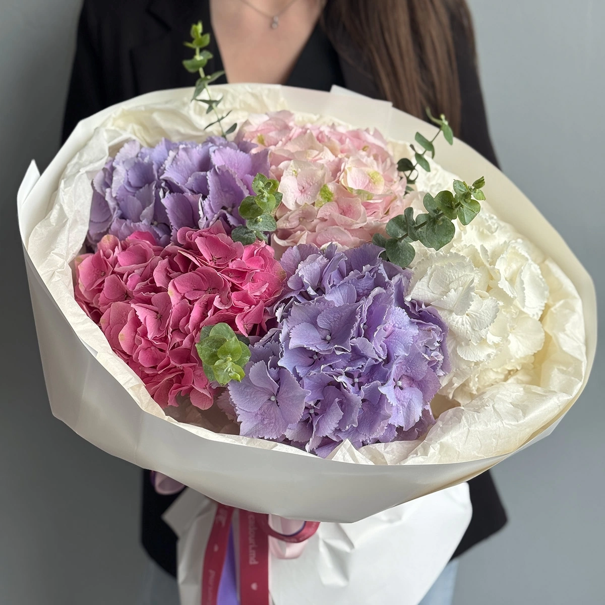 Mix of Hydrangeas