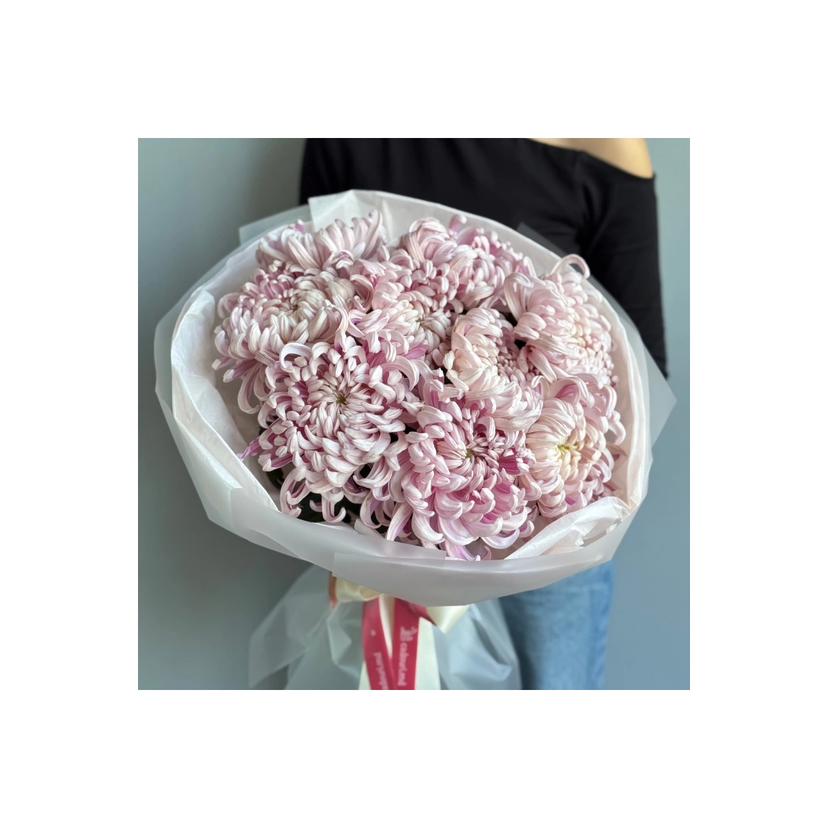 9 pink chrysanthemums „Vienna”
