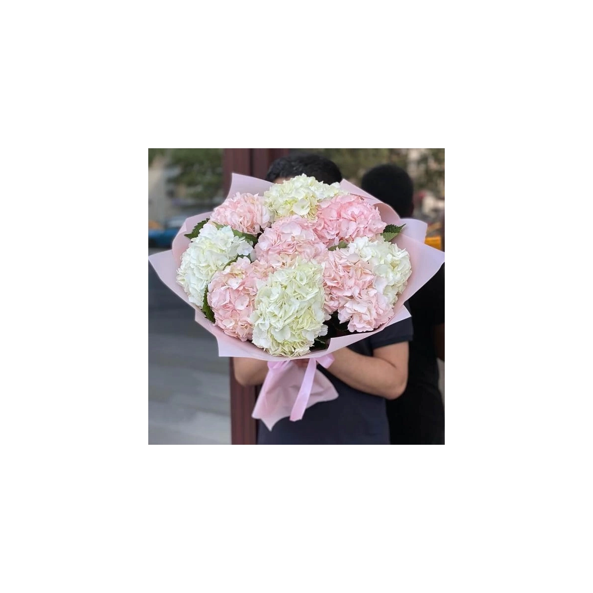 9 Hortensii Albe - Roz