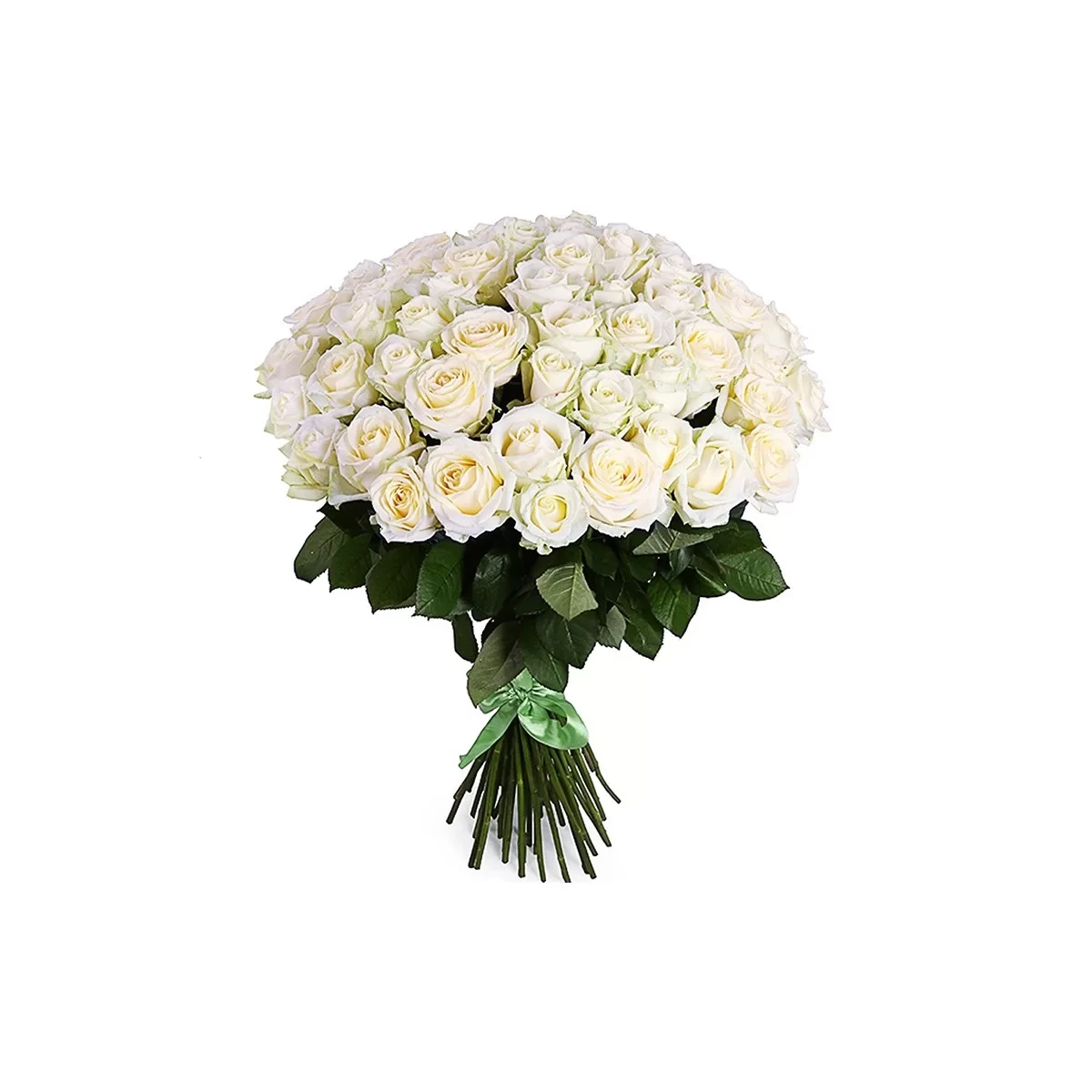 Buy 51 white roses with delivery Chisinau, Moldova