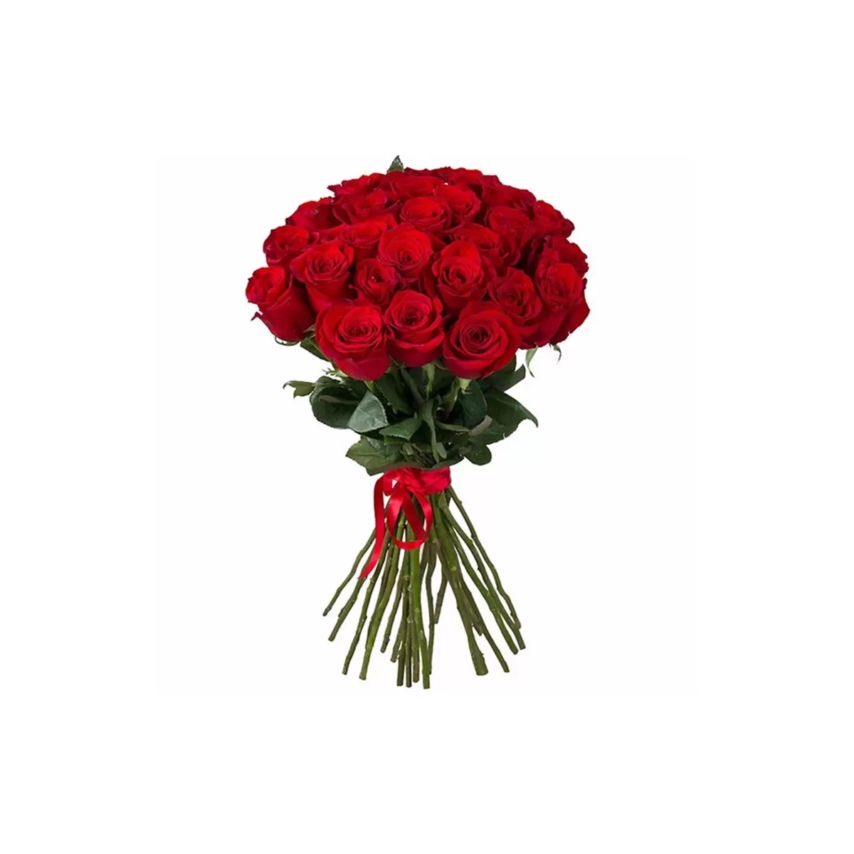 Buy 25 red roses with delivery Chisinau, Moldova