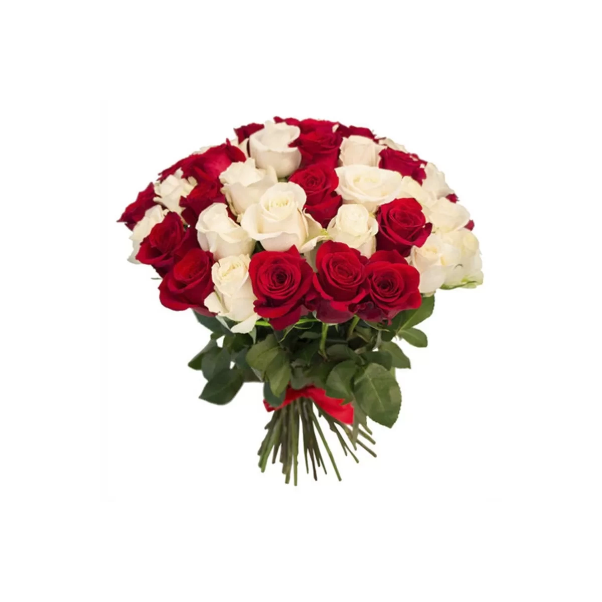 Buy bouquet 51 red and white roses with delivery Chisinau, Moldova